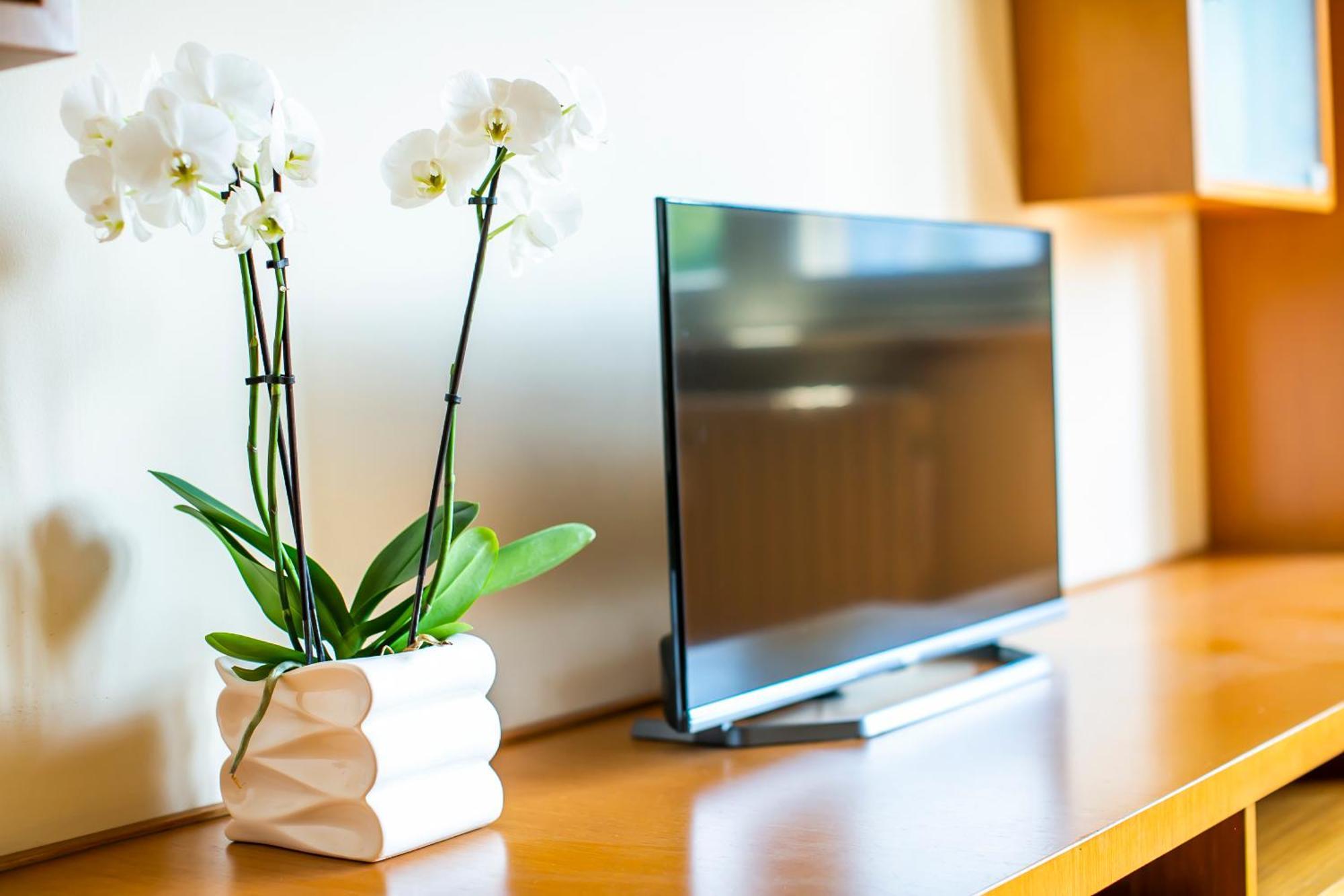 Skyline Apartment โกโม ภายนอก รูปภาพ