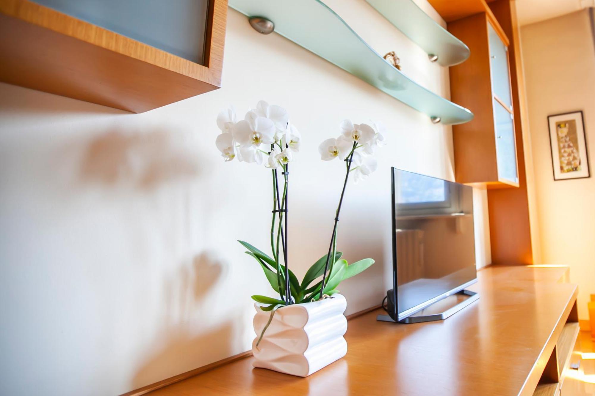 Skyline Apartment โกโม ภายนอก รูปภาพ